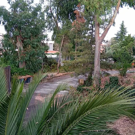 Ai 4 Gatti * Mascalucia