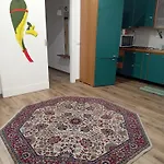 Ai 4 Gatti * Mascalucia